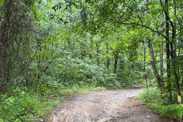 Bayou Run