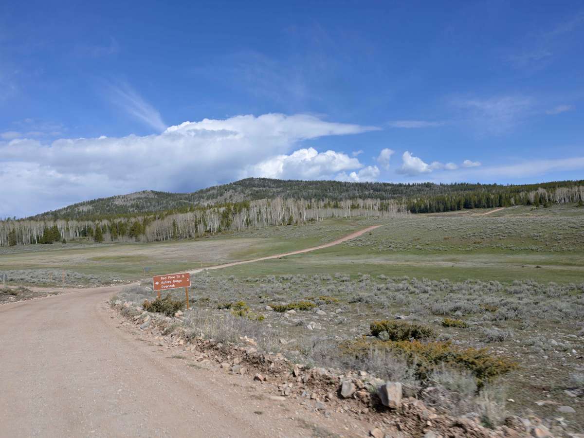 Taylor Mountain Road - FS 10044 photo 3