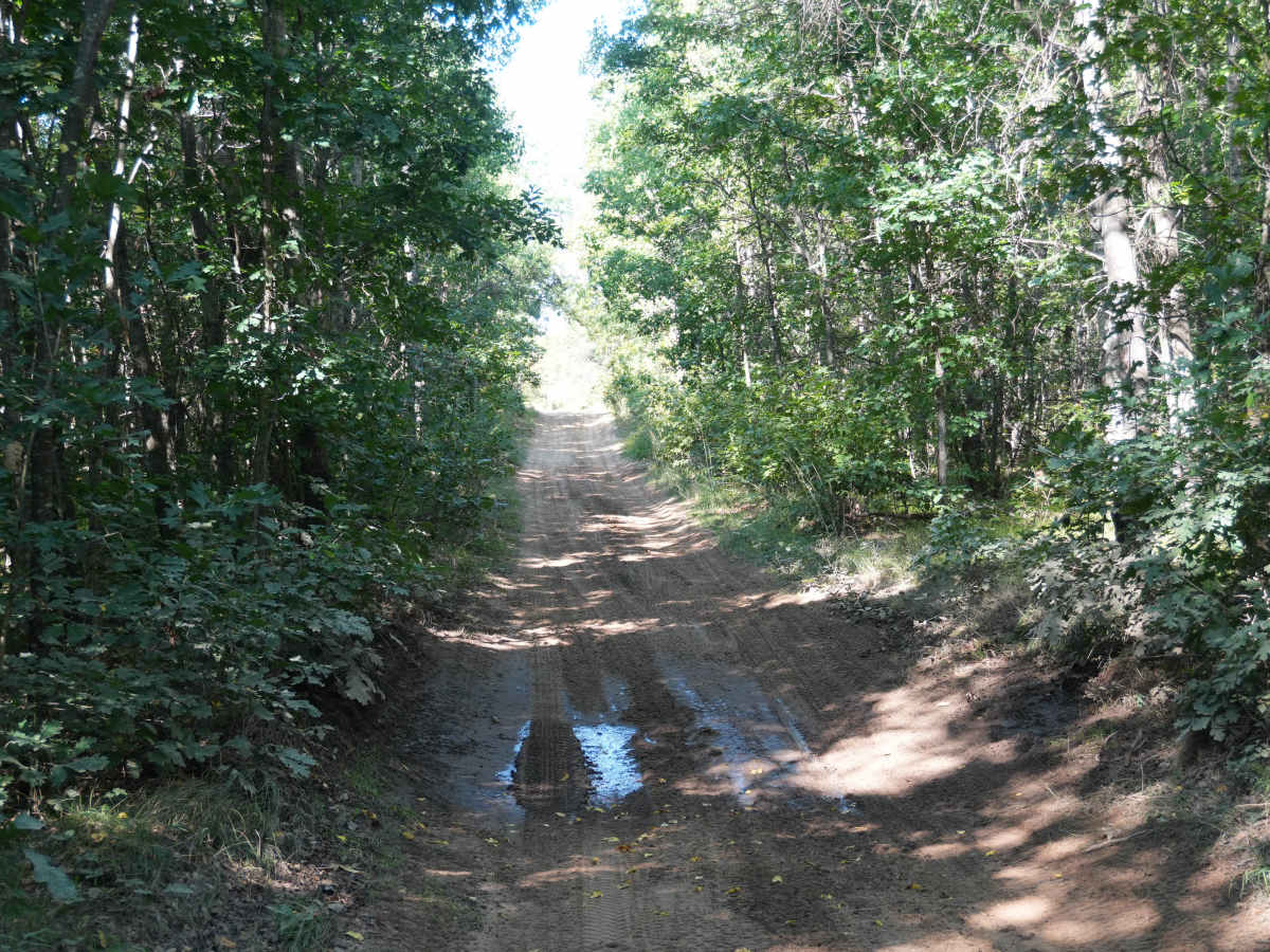 Twin Lakes Trail photo 5