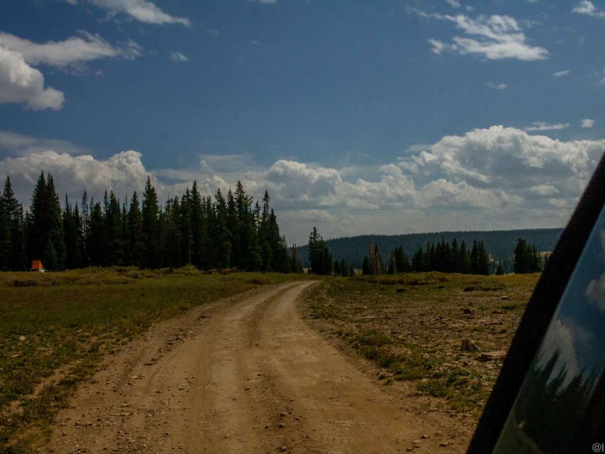 White Owl trail photo