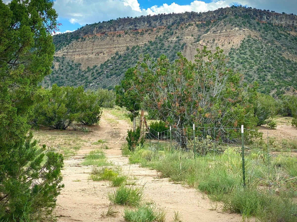 Upper Diablo Canyon Rd photo 3