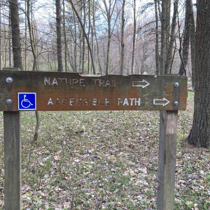 Near Woodland Dunes Trail Near Woodland Dunes Trail