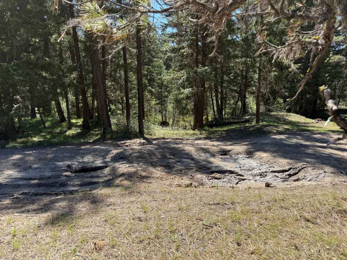 Pine Creek Road photo 5
