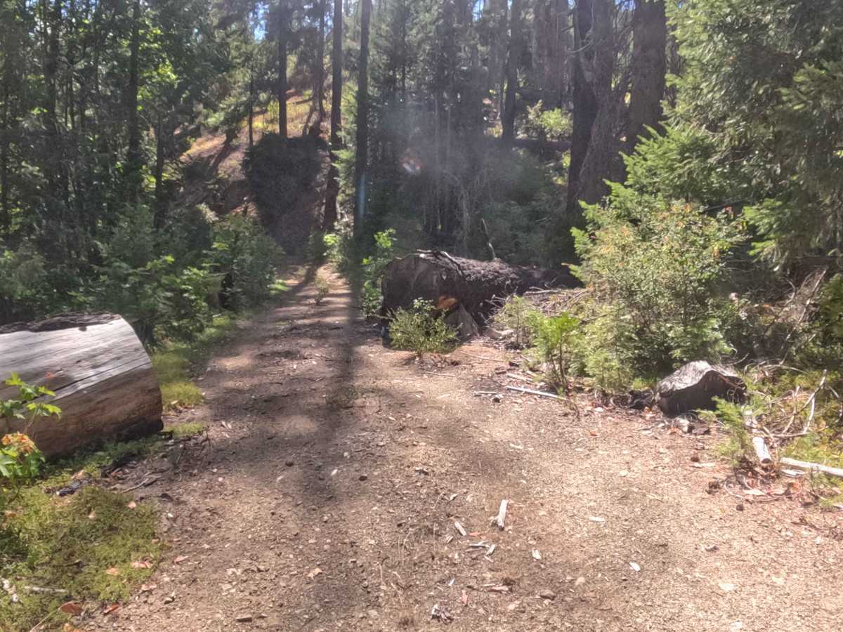 Sutcliffe - FS 18N30G trail photo
