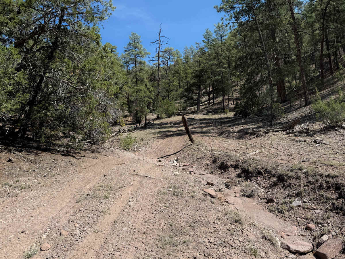 952 trail photo