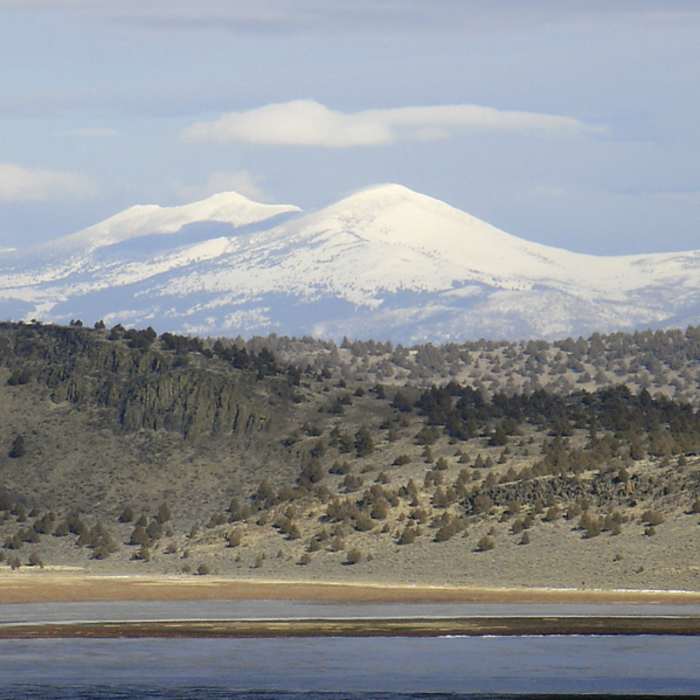 Near Modoc Line Rail Trail - Sage Hen