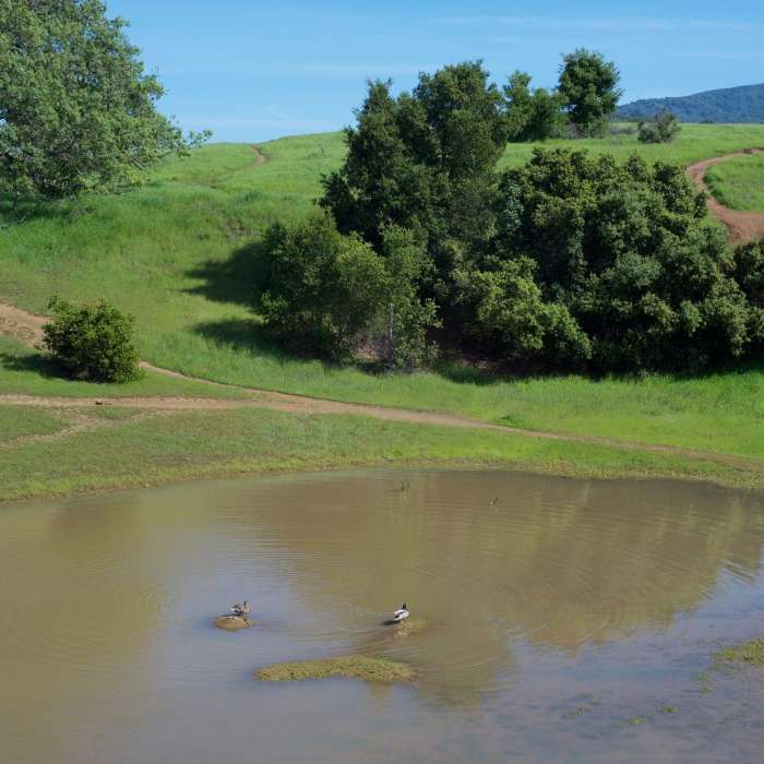 Near Arastradero Short Loop