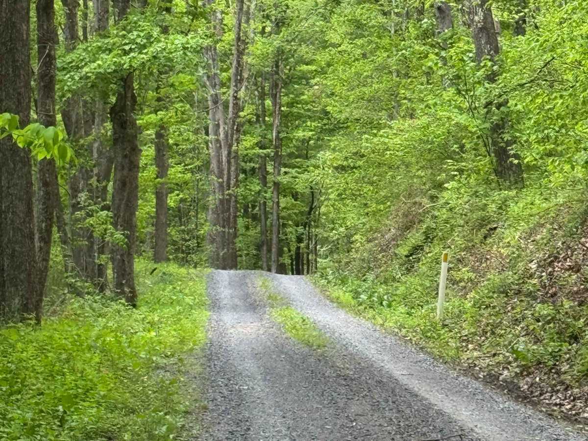 Little Greenlick Road photo 4