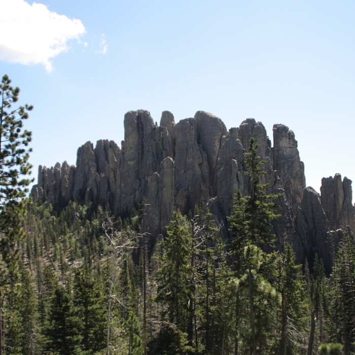 Along the trail, be sure to look up and check out the fantastic rock formations. Near Little Devils Tower Trail #4