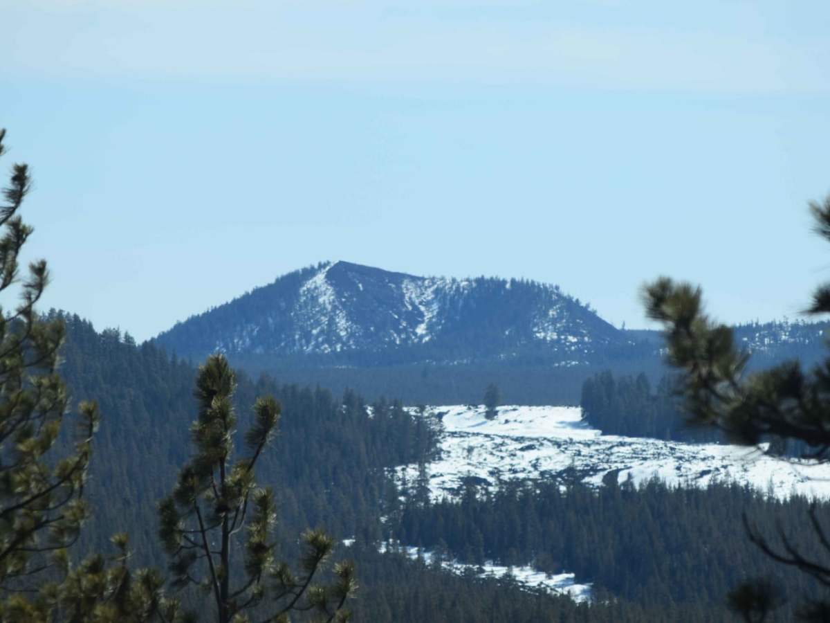 Lava Cast Forest Trail photo 6