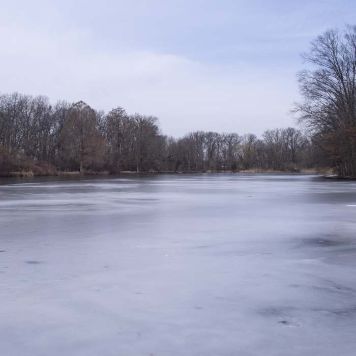 Willowbrook Lake Near White Trail