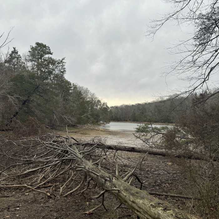 Near Lakeshore Loop Trail