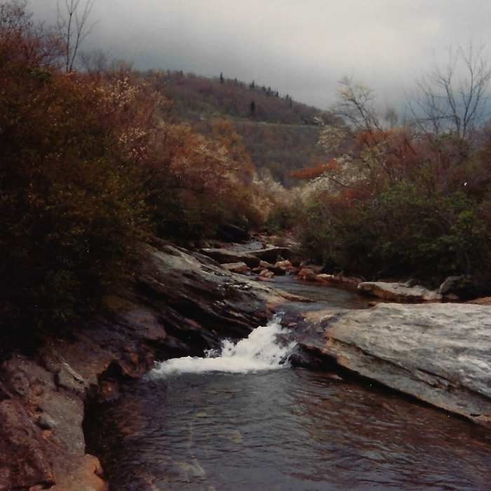 Near Graveyard Fields Trail #358