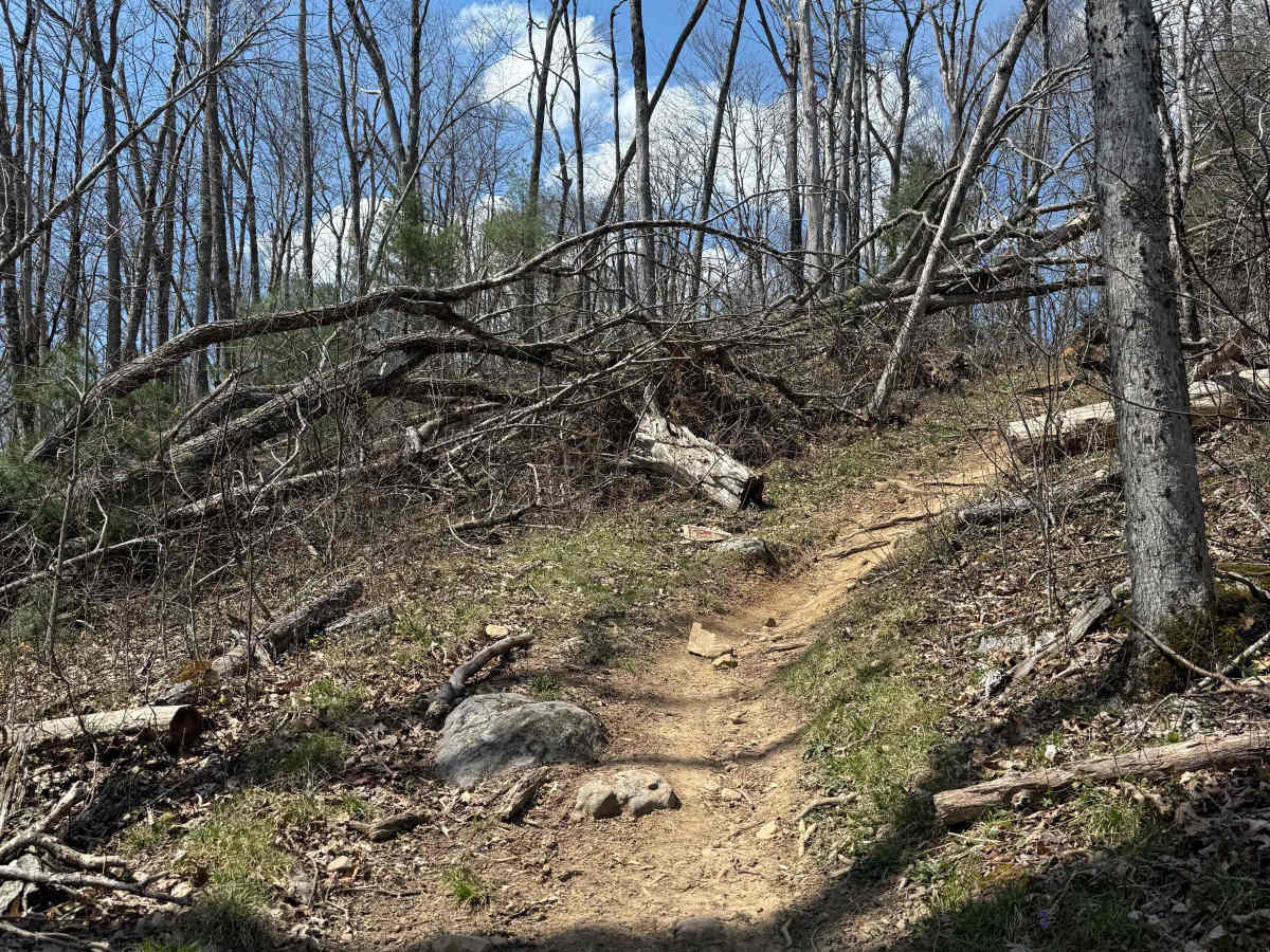Iron Mountain Spur B photo 5