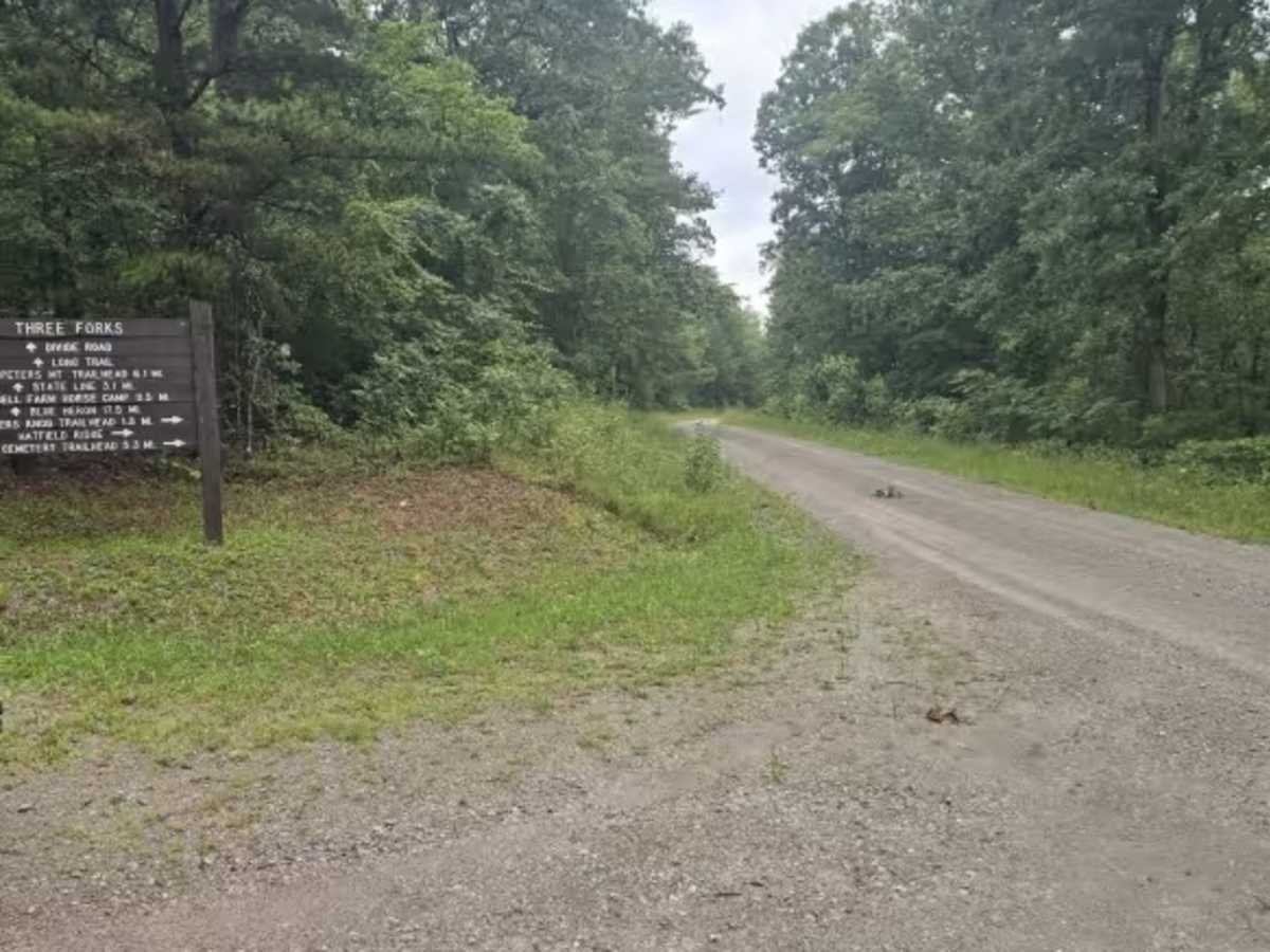 Terry Cemetery Road photo 5
