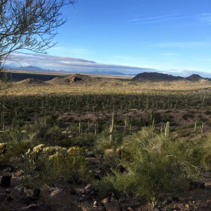 Near Picacho Peak Sunset Loop