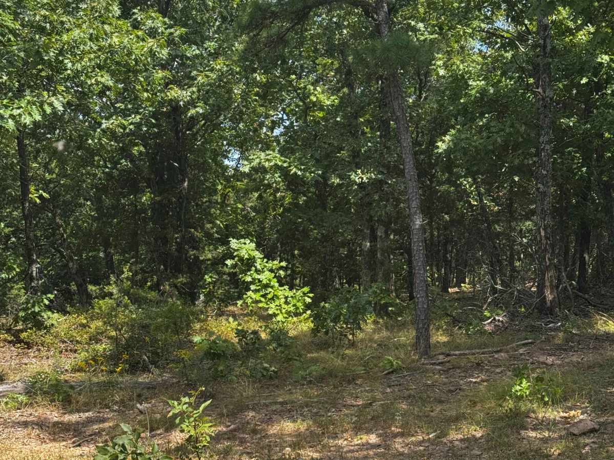 Rocky Ridge Loop trail photo