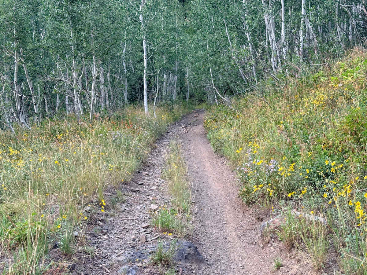 Mineral Fork Road photo 4