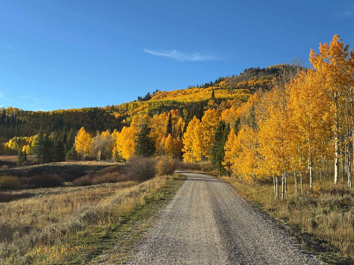 Iron Mountain Road trail photo