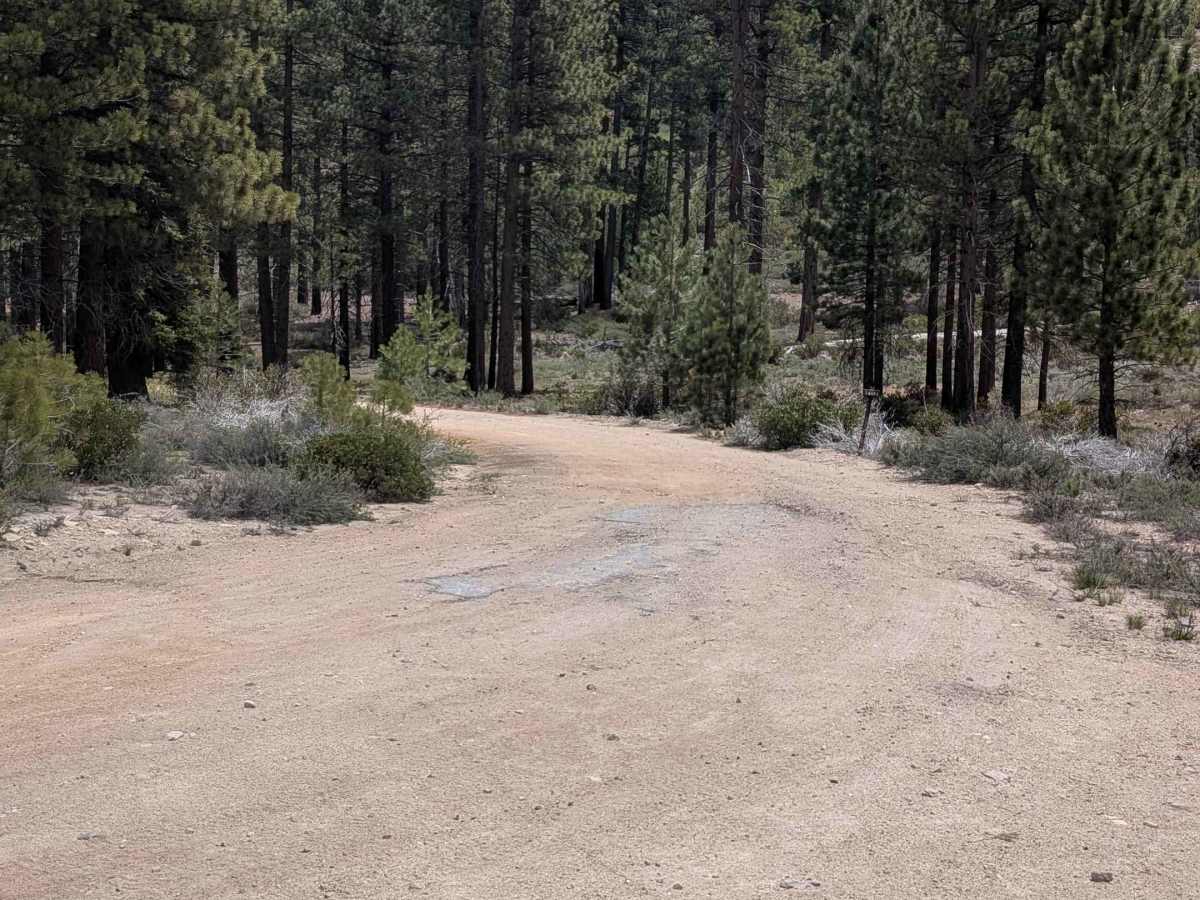 Taylor - FS 24S13 trail photo