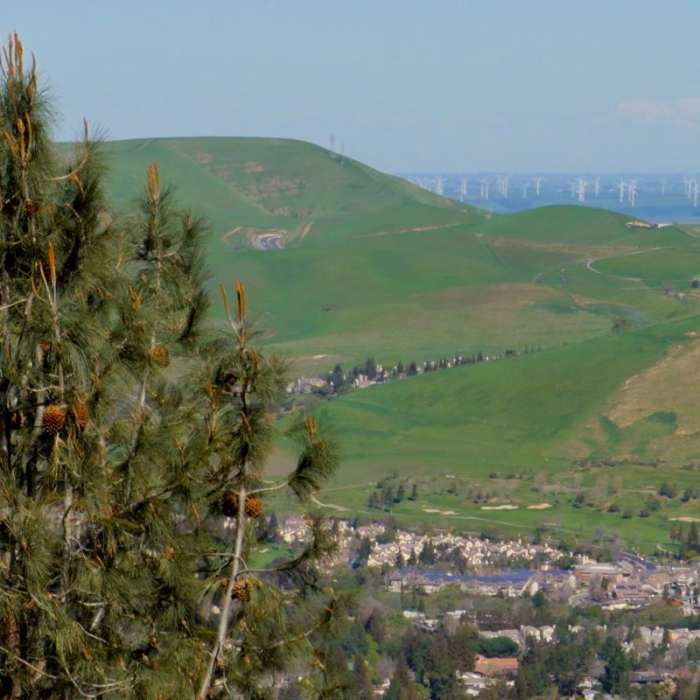 Near Eagle Peak Loop