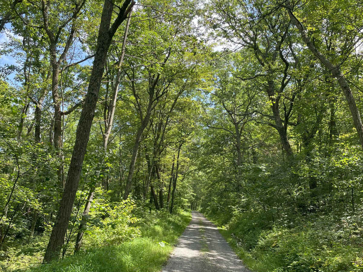 Running Gap Road photo 4