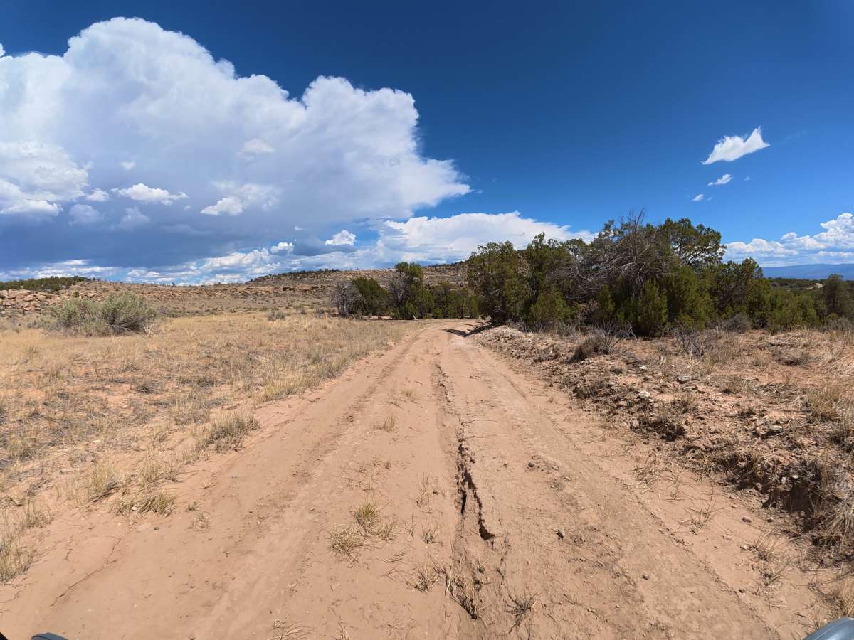 BLM 288 photo 3