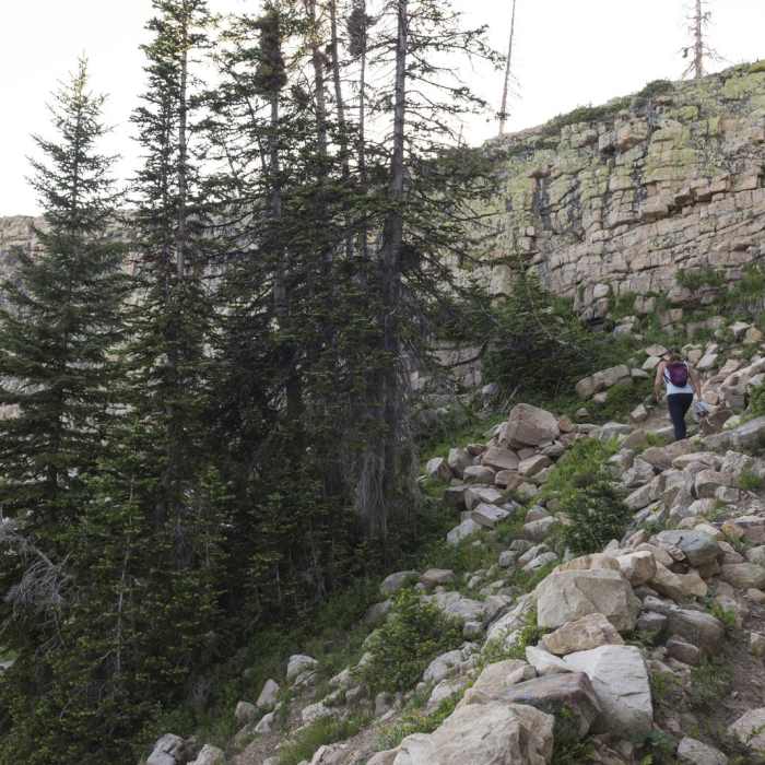 Near Clyde Lake Loop