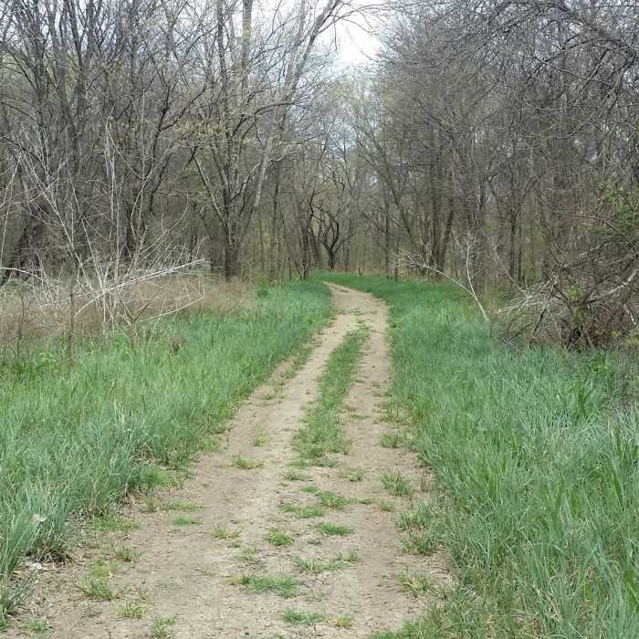 The trail transitions between double and singletrack throughout the property. Near Wetlands Trail