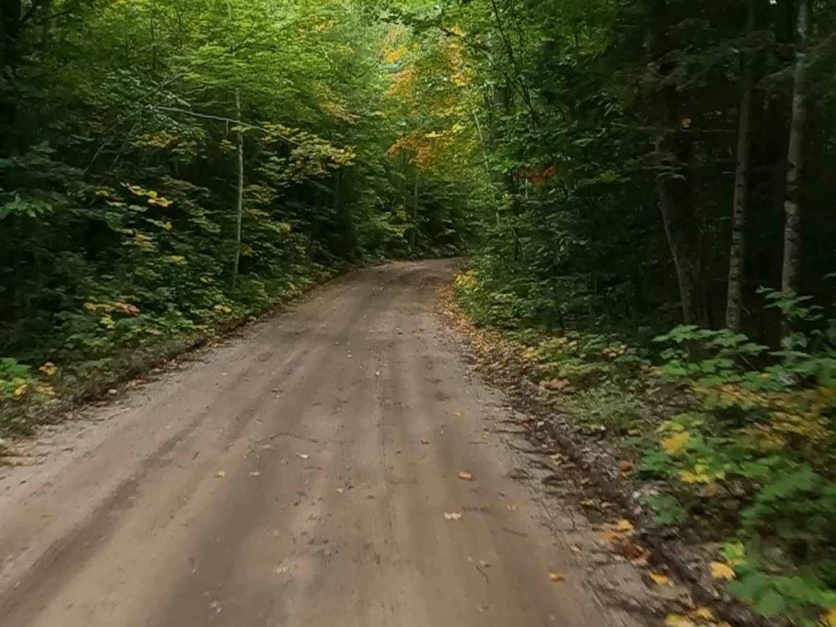 Fisher Road - FS 3005 (ORV Route Ai) photo 2