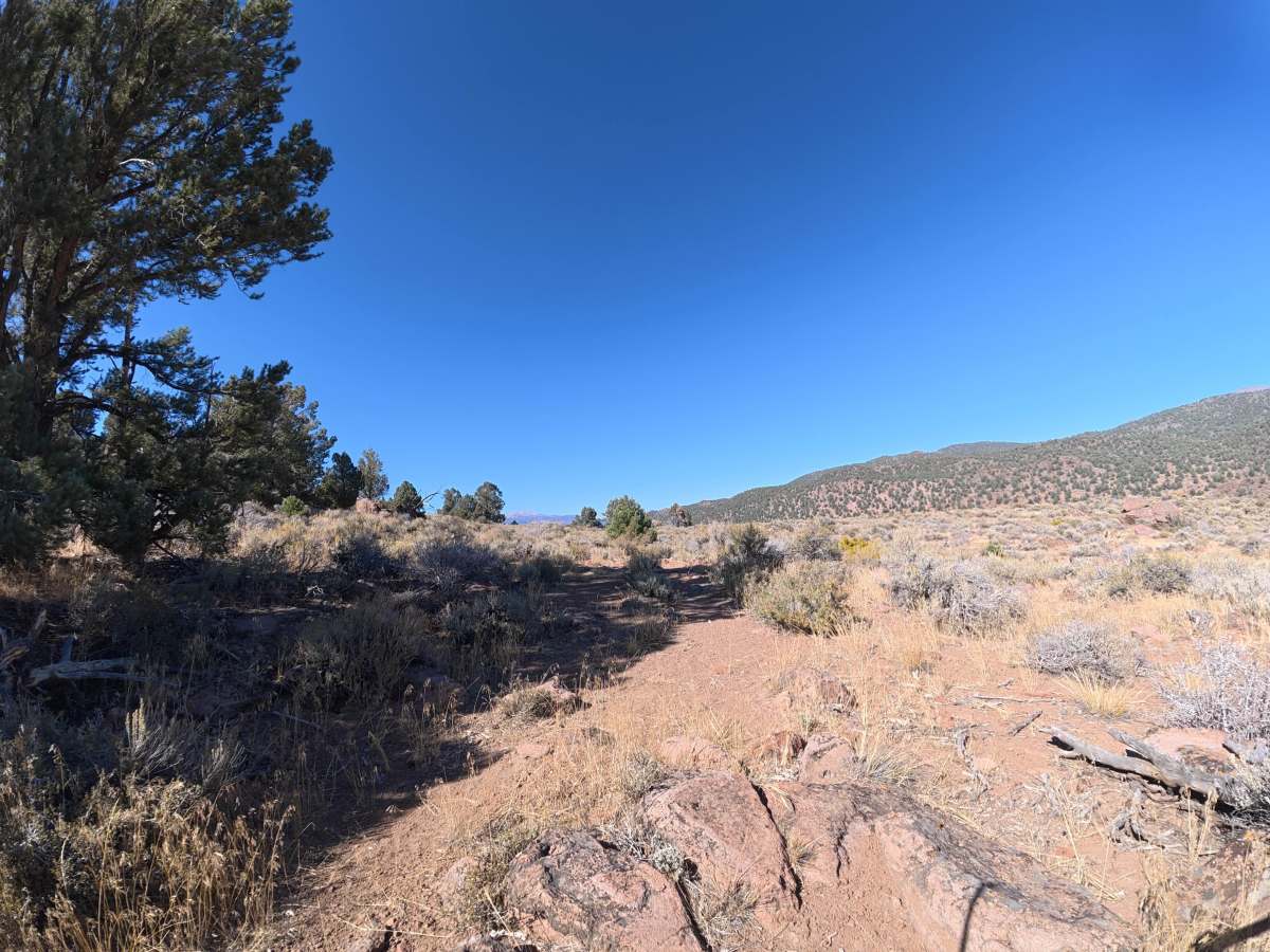 Dog Town Spur C trail photo