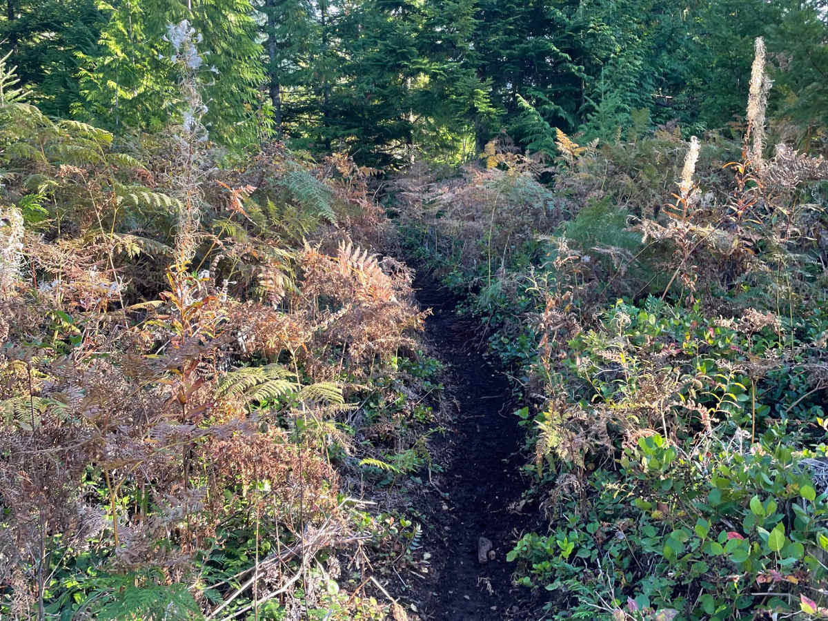Parallel Lines photo 2