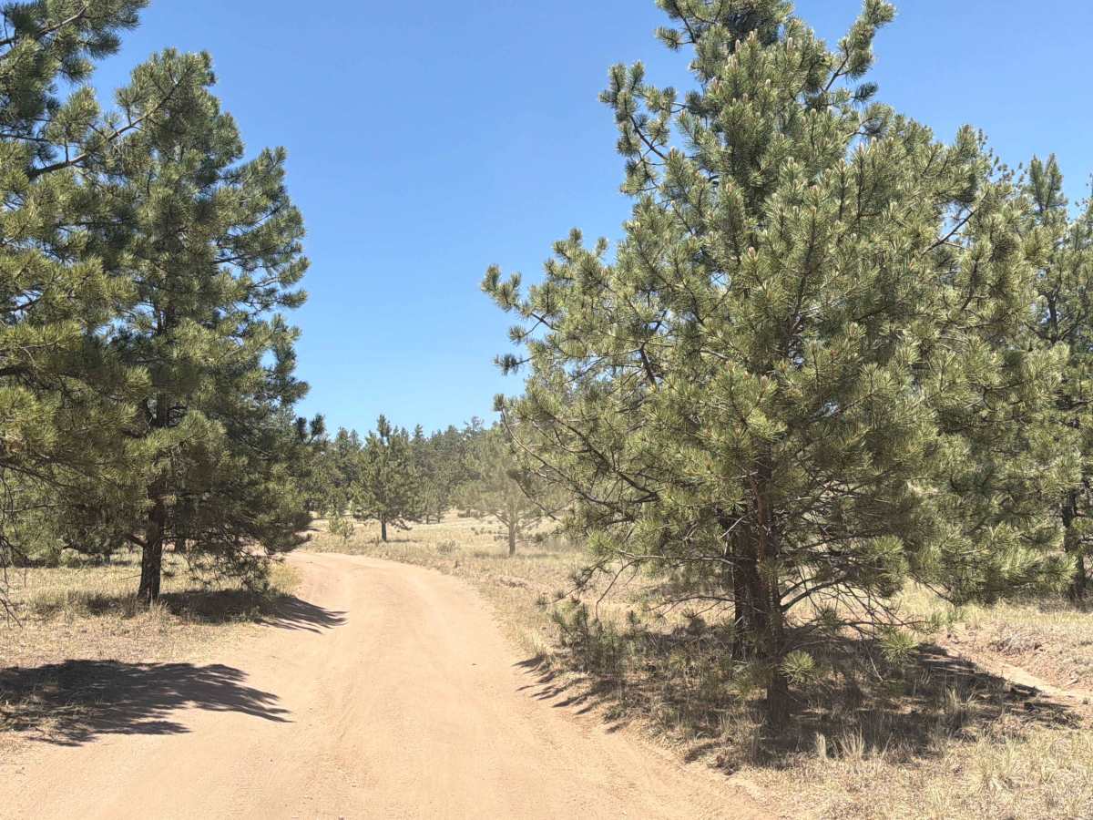 S.T.I.T. Road - FS 244B photo 3