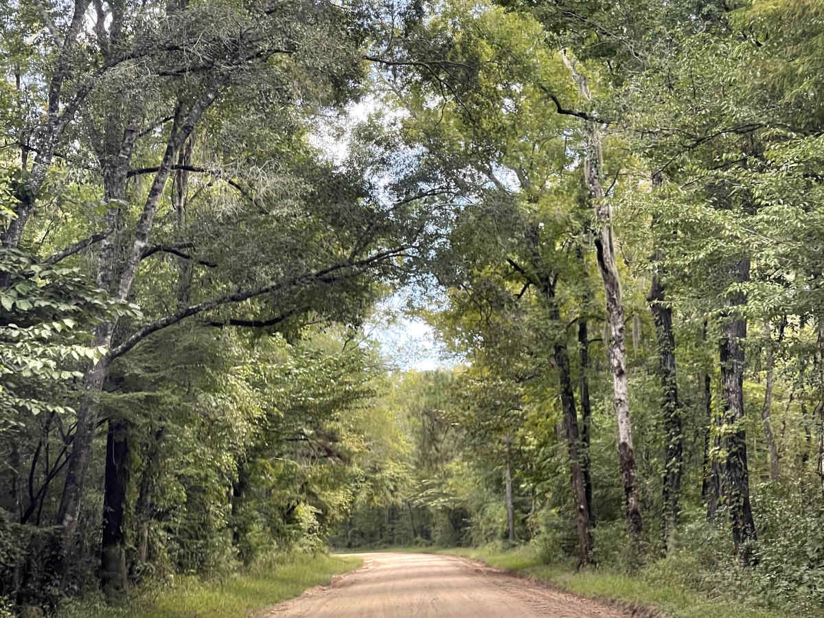 Governor Road  photo 3