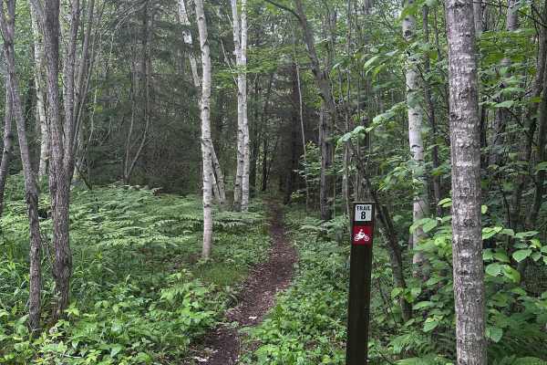 Alger Grade - Trail 8