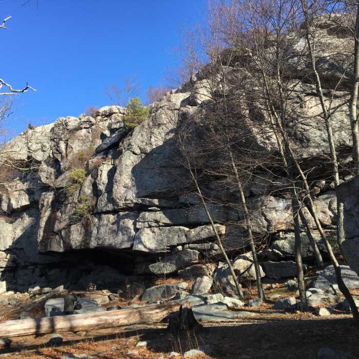 Near Dater Mountain Loop