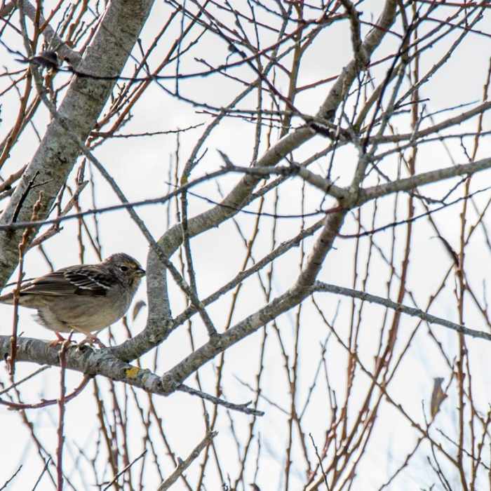 Near Ohlone Bluff Hike Near Ohlone Bluff Hike