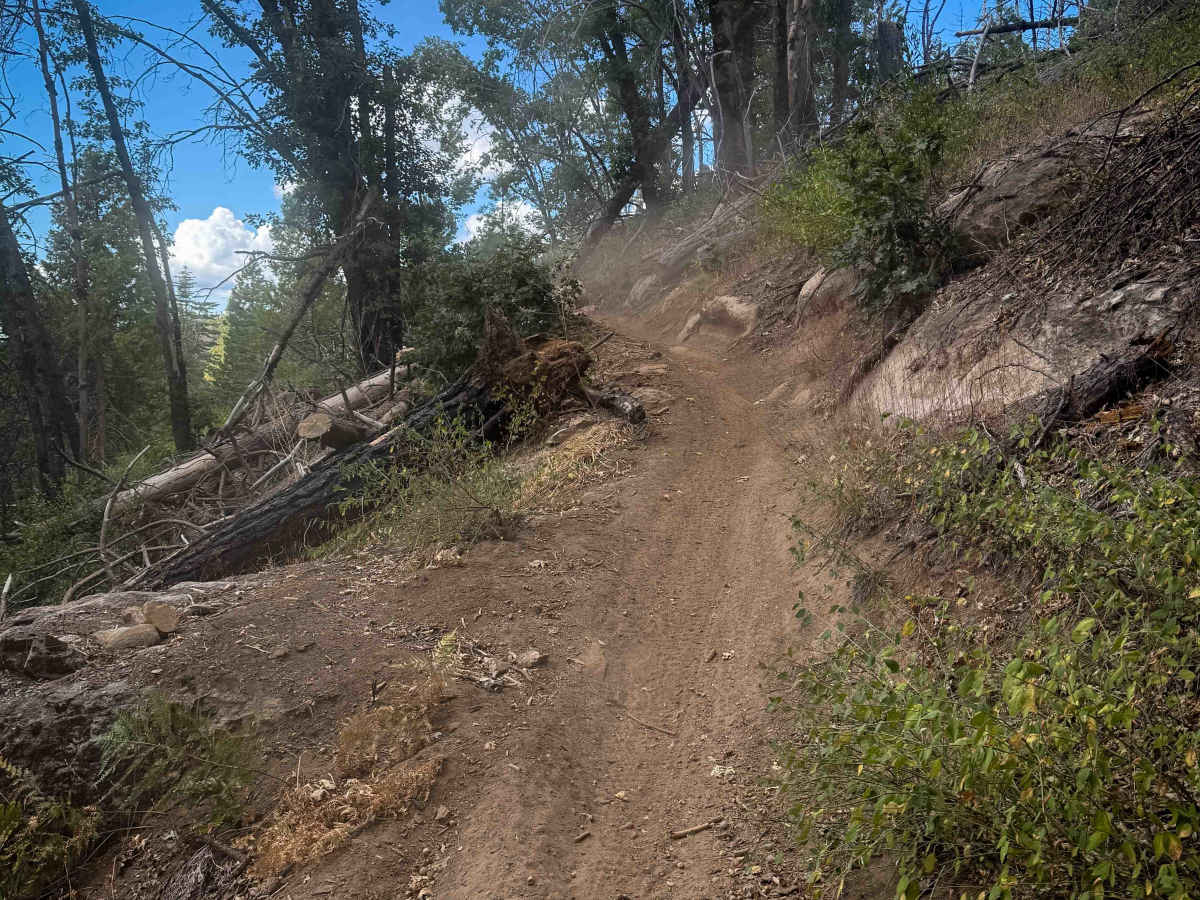 Loop 3 trail photo