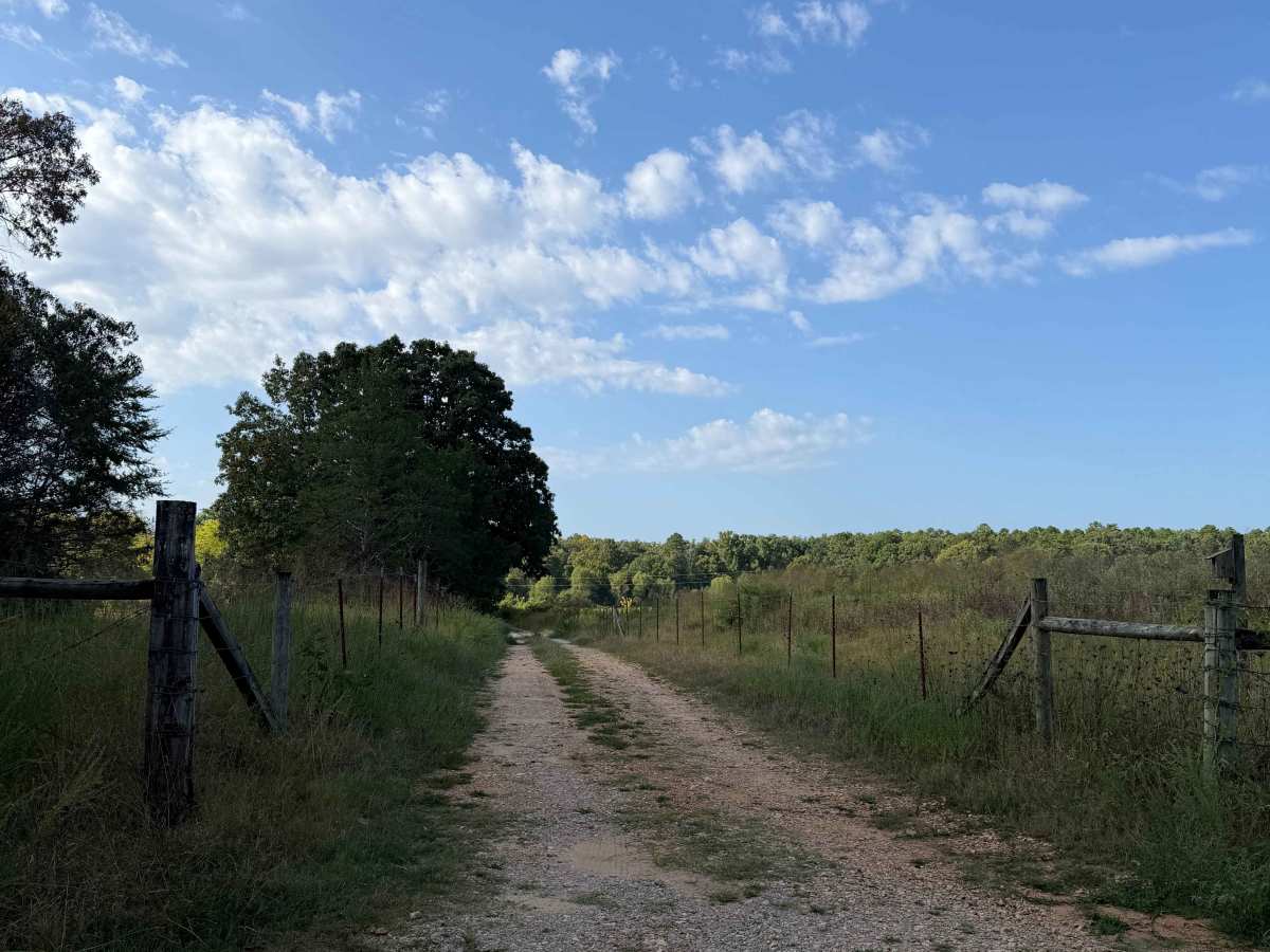 Optimus Hill trail photo