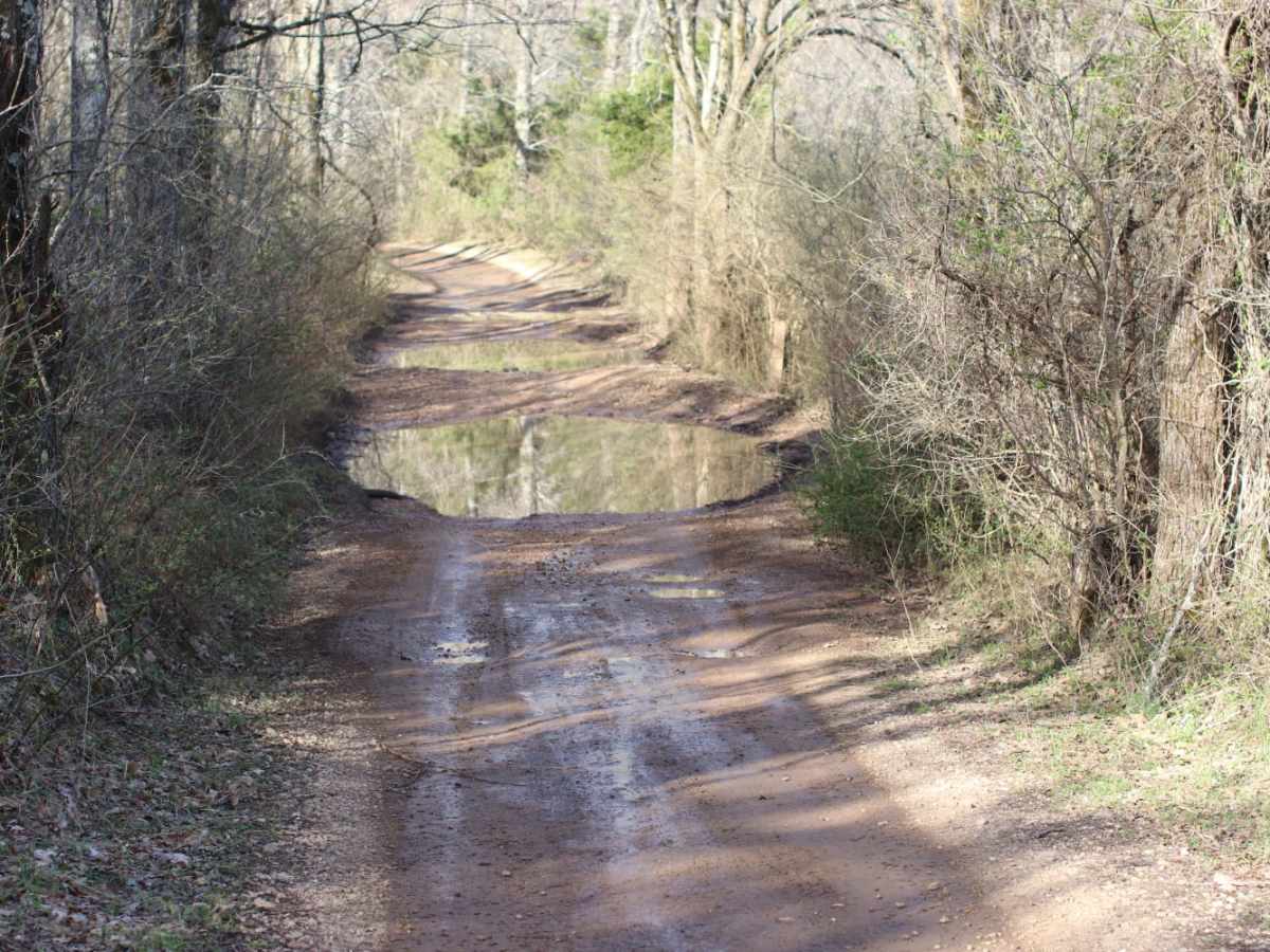 Lookout Road photo 5
