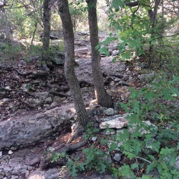 Near Hillview Trail