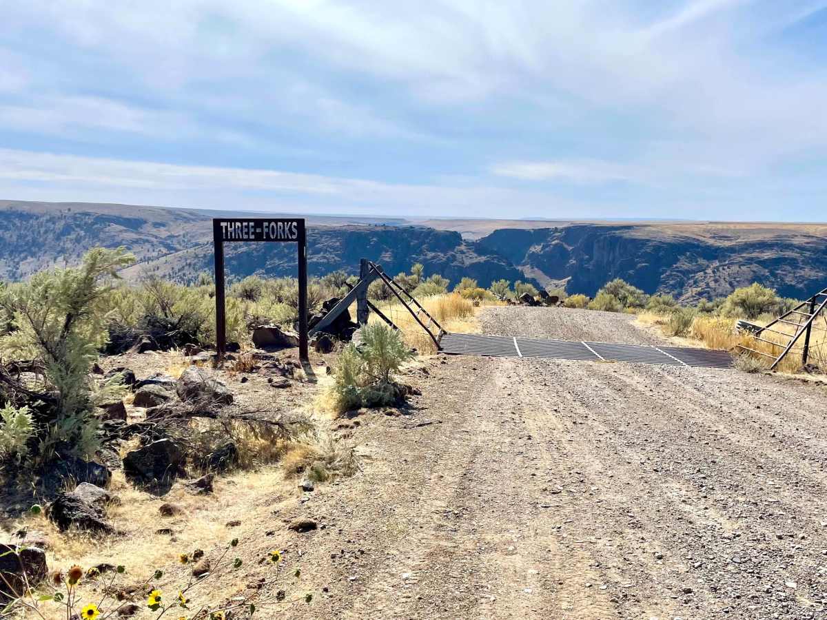 Fenwick Road Switchbacks trail photo