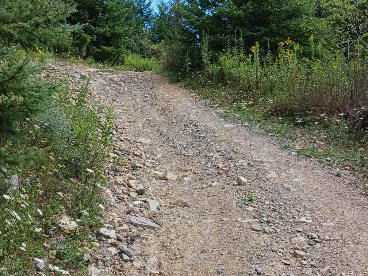 Gobble Leg Way trail photo