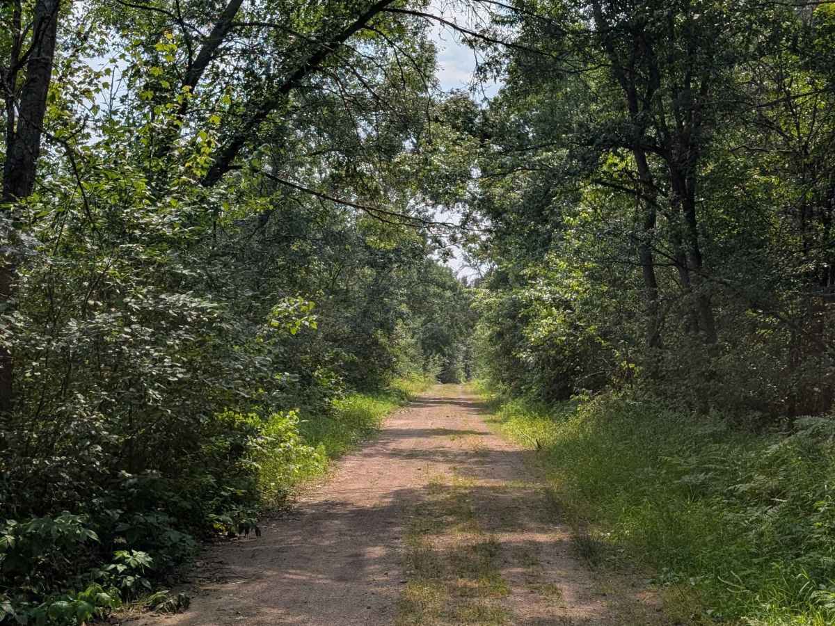 FS 4311 photo 5