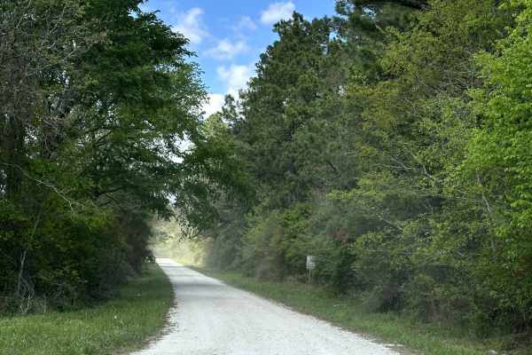 Louisville Road