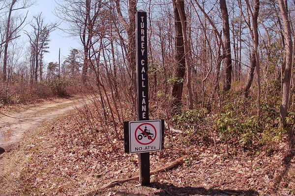 Turkey Call Lane