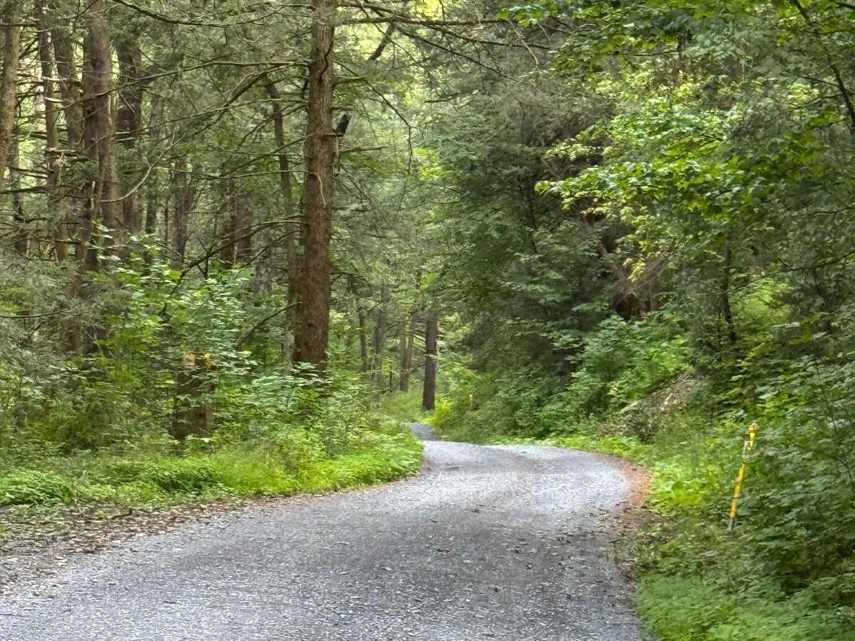 Dam Run Road photo 2