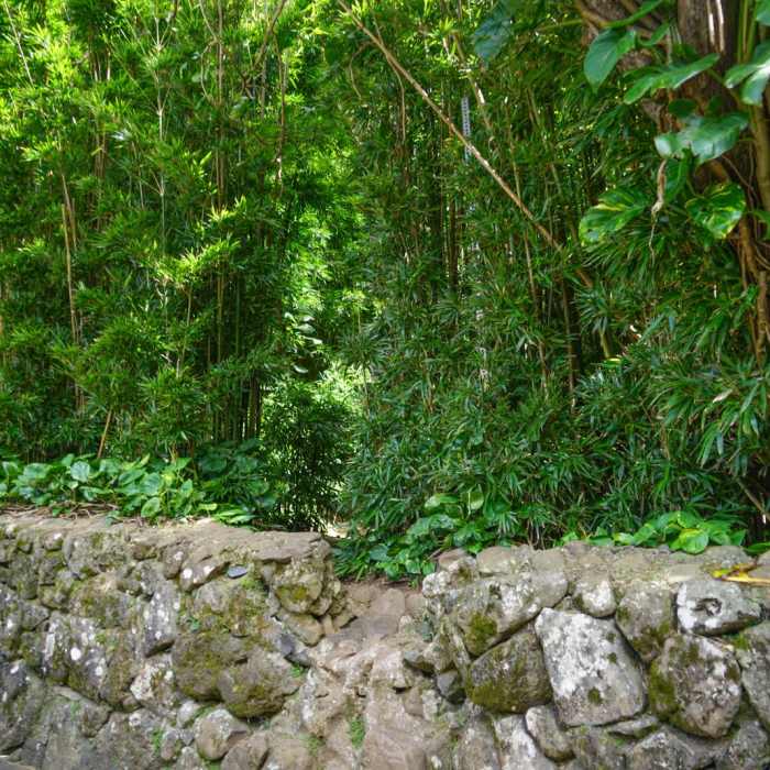 Near Pali Puka Near Pali Puka