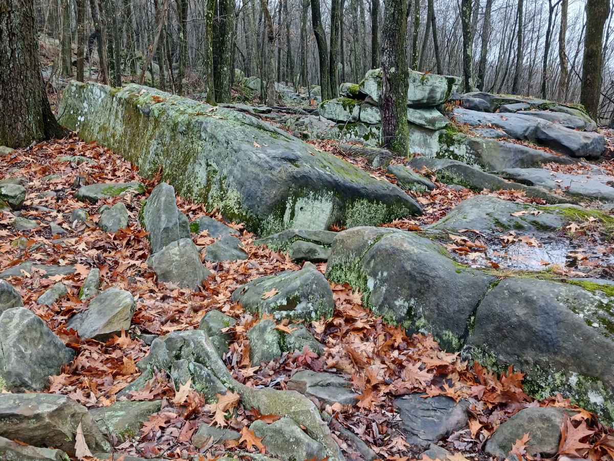 OHV 33 - Rock Run Recreation Area photo 3