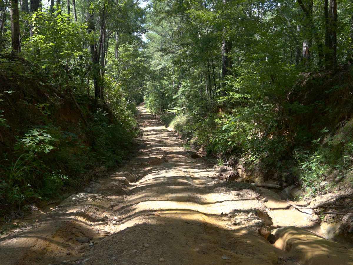 Jim Foundry Road trail photo